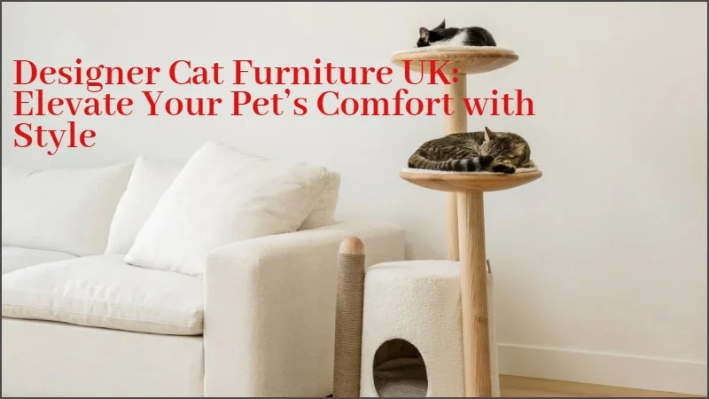 Designer Cat Furniture UK: Elevate Your Pet’s Comfort with Style