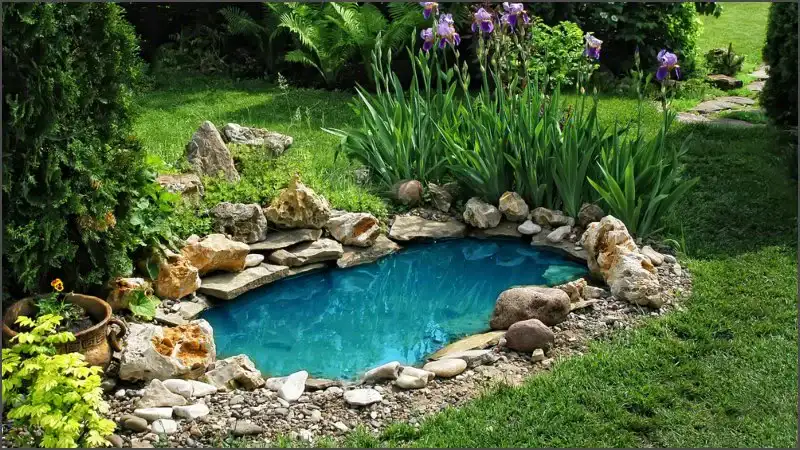 Top Natural Wildlife Pond Edging Ideas for Beautiful Garden Pond